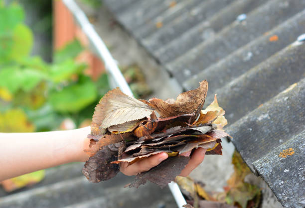 Protect Your Roof & Foundation with Regular Gutter Cleaning